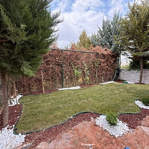 WhatsApp Image 2025-08-04 at 11.21.50 WhatsApp Image 2025-08-04 at 11.21.50