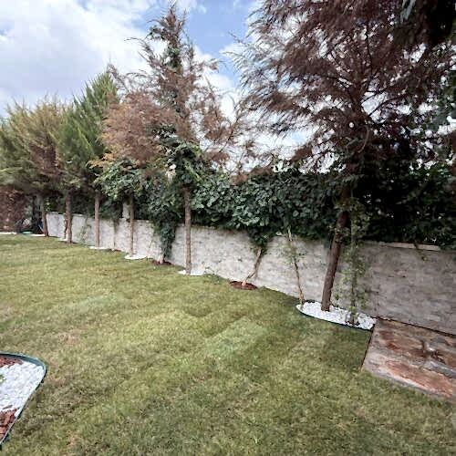 WhatsApp Image 2025-08-04 at 11.21.51 WhatsApp Image 2025-08-04 at 11.21.51